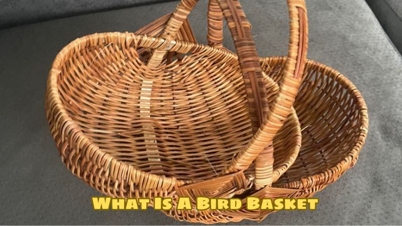 What Is A Bird Basket